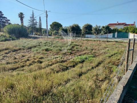 Terreno urbano na entrada principal de torres novas