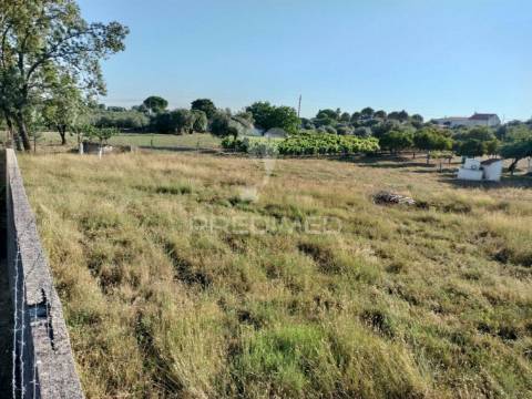 Terreno urbano na entrada principal de torres novas