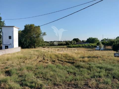 Terreno urbano na entrada principal de torres novas