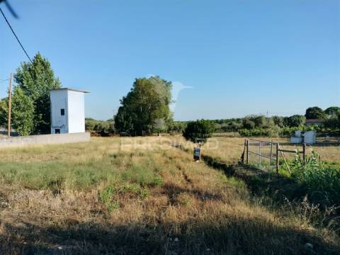 Terreno urbano na entrada principal de torres novas