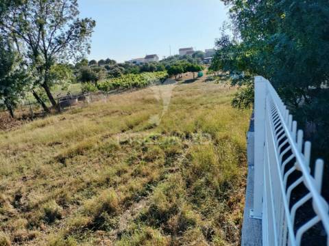 Terreno urbano na entrada principal de torres novas
