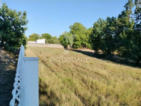 Terreno urbano na entrada principal de torres novas