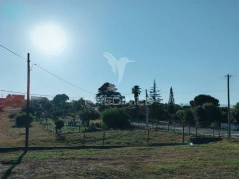 Terreno urbano na entrada principal de torres novas