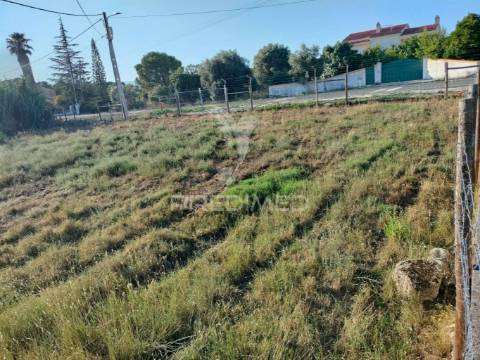 Terreno urbano na entrada principal de torres novas