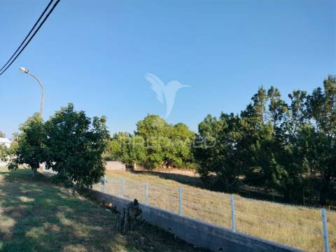 Terreno urbano na entrada principal de torres novas