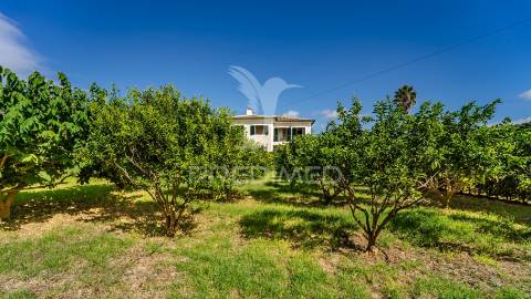 Quinta em são mateus