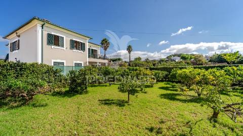 Quinta em são mateus