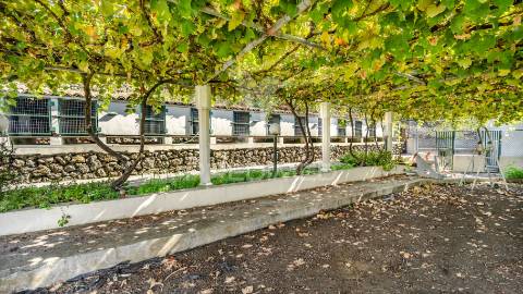 Quinta em são mateus