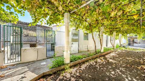 Quinta em são mateus