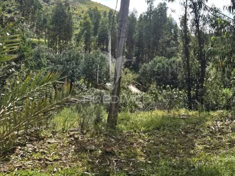 Terreno rustico c/projeto