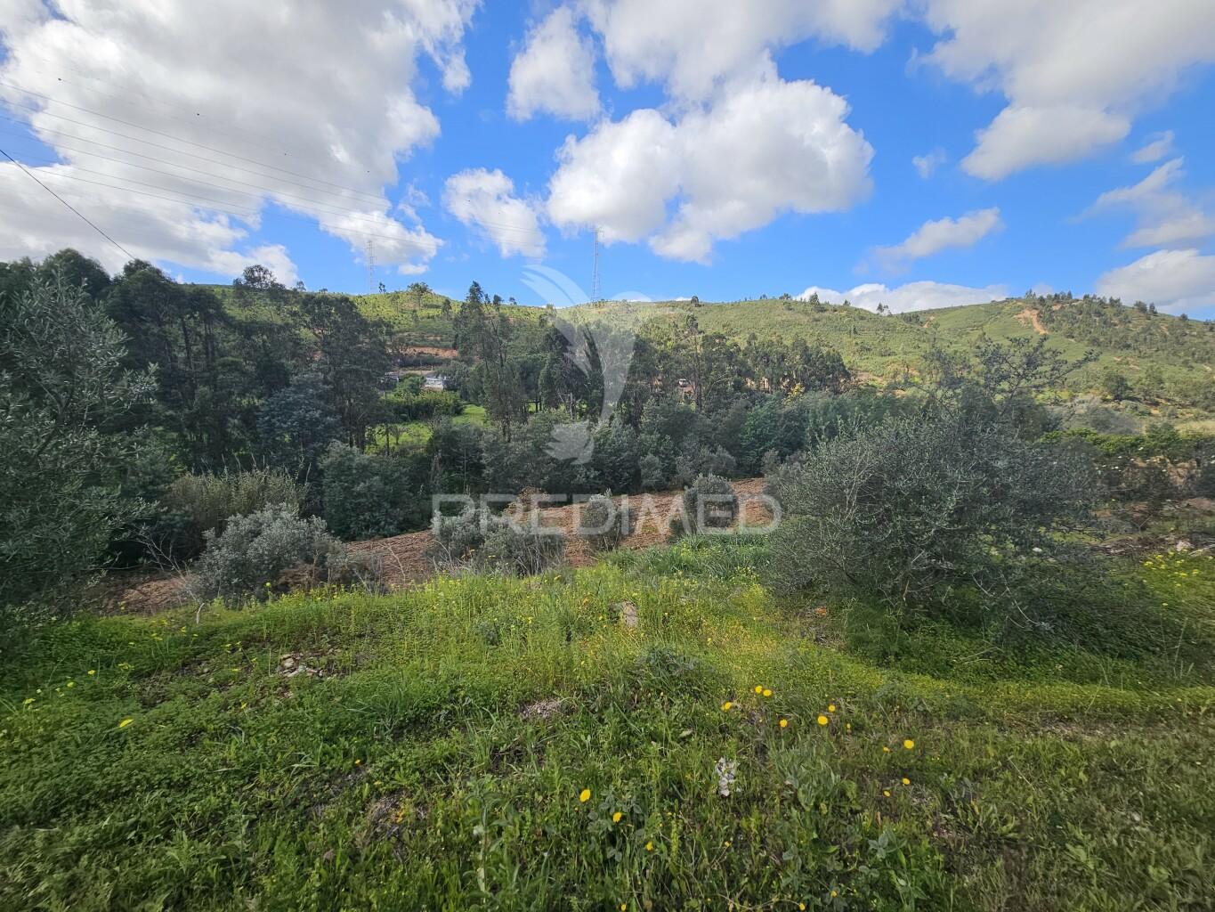 Terreno rustico c/projeto