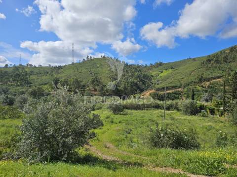 Terreno rustico c/projeto