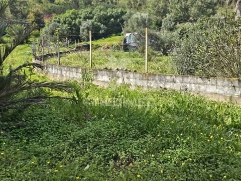 Terreno rustico c/projeto