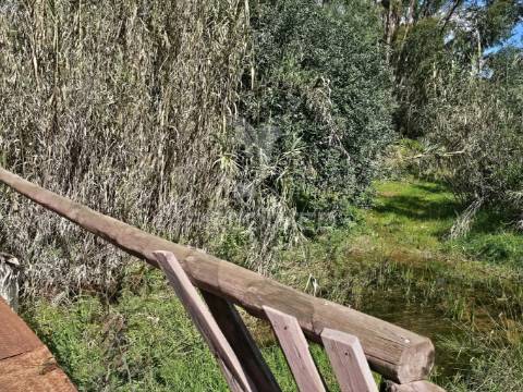 Terreno rustico c/projeto