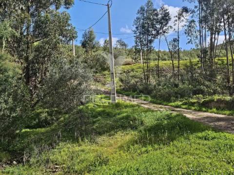 Terreno rustico c/projeto