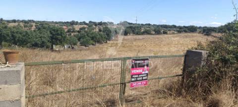 Terrenos rústicos em montalvão/nisa