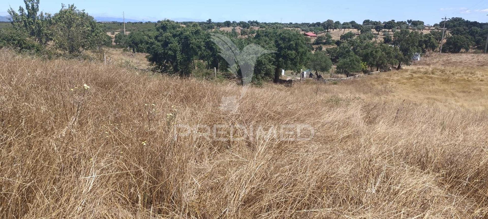 Terrenos rústicos em montalvão/nisa