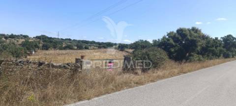 Terrenos rústicos em montalvão/nisa