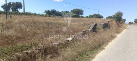 Terrenos rústicos em montalvão/nisa