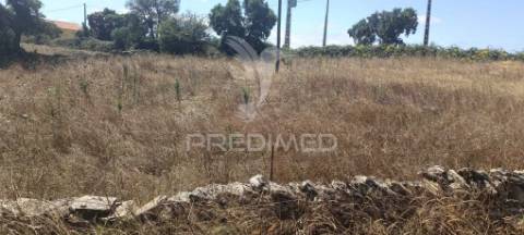 Terrenos rústicos em montalvão/nisa