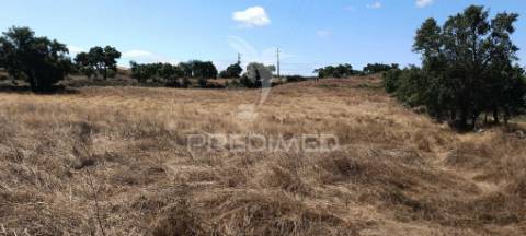 Terrenos rústicos em montalvão/nisa