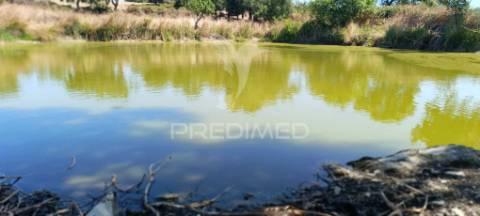 Terrenos rústicos em montalvão/nisa