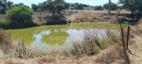 Terrenos rústicos em montalvão/nisa