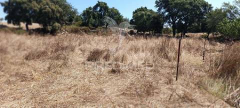 Terrenos rústicos em montalvão/nisa