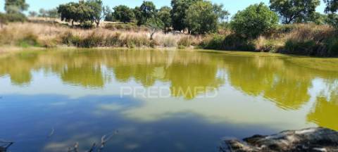 Terrenos rústicos em montalvão/nisa