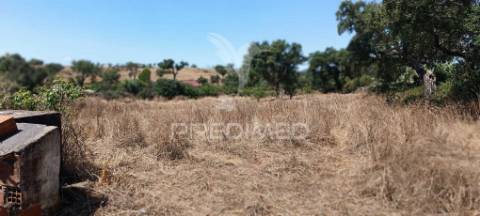 Terrenos rústicos em montalvão/nisa