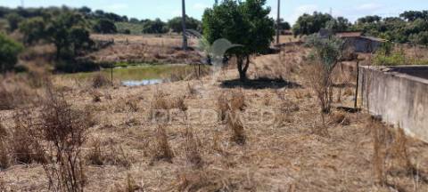 Terrenos rústicos em montalvão/nisa