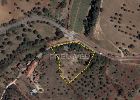 Terreno rústico, bugalhos, alcanena