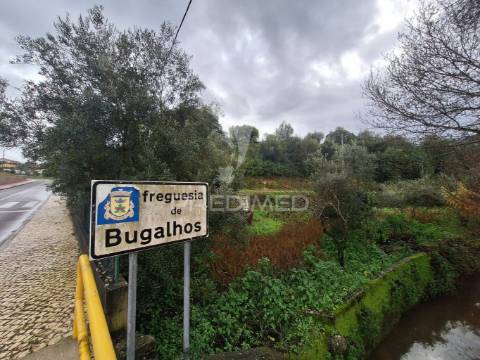 Terreno rústico, bugalhos, alcanena