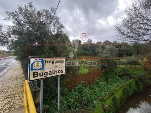 Terreno rústico, bugalhos, alcanena