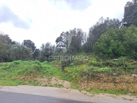 Terreno rústico, bugalhos, alcanena