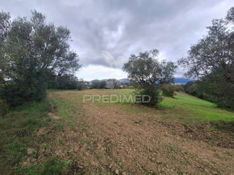 Terreno rústico, bugalhos, alcanena