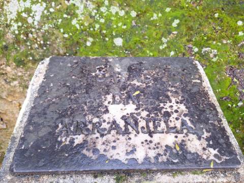 Terreno rústico, bugalhos, alcanena