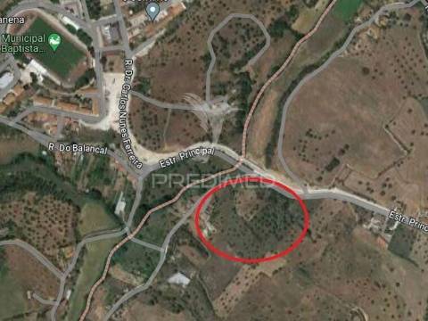 Terreno rústico, bugalhos, alcanena