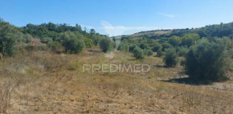 Terreno rústico em fonte da pedra, santarém.