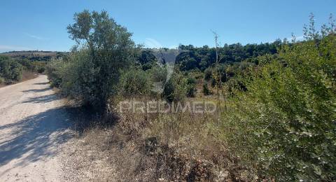 Terreno rústico em fonte da pedra, santarém.