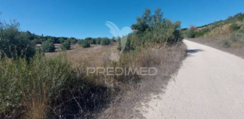 Terreno rústico em fonte da pedra, santarém.