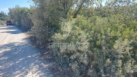 Terreno rústico em fonte da pedra, santarém.