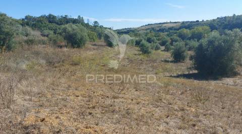 Terreno rústico em fonte da pedra, santarém.