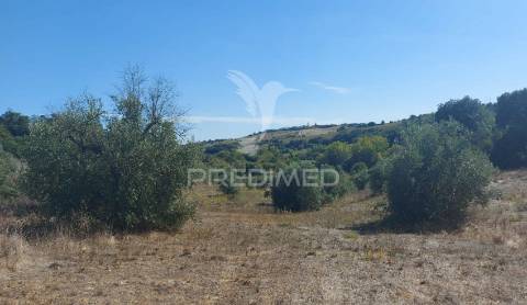 Terreno rústico em fonte da pedra, santarém.