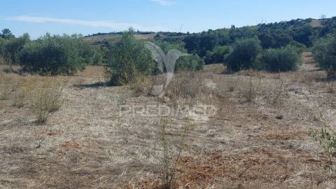 Terreno rústico em fonte da pedra, santarém.