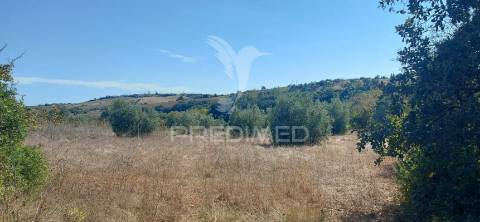 Terreno rústico em fonte da pedra, santarém.