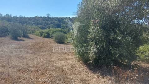 Terreno rústico em fonte da pedra, santarém.