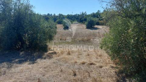 Terreno rústico em fonte da pedra, santarém.