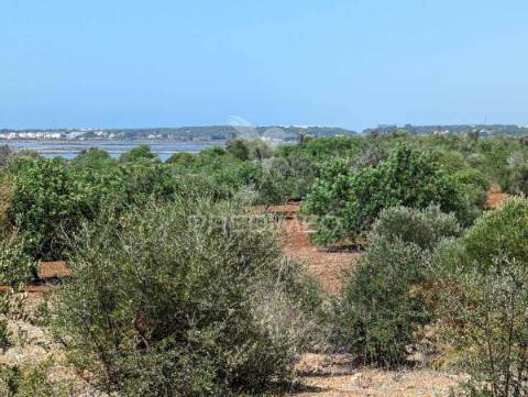 Monte em castro marim, 36 ha, 1125m2 urbano, premium