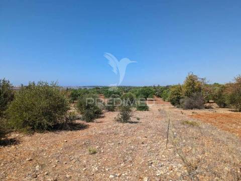 Monte em castro marim, 36 ha, 1125m2 urbano, premium